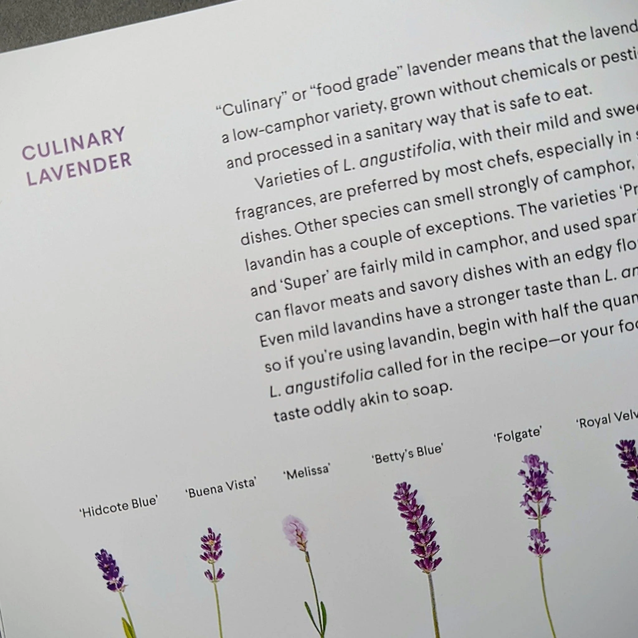 Lavender: 50 Self-Care Recipes and Projects for Natural Wellness, by Bonnie Louise Gillis - Image 3