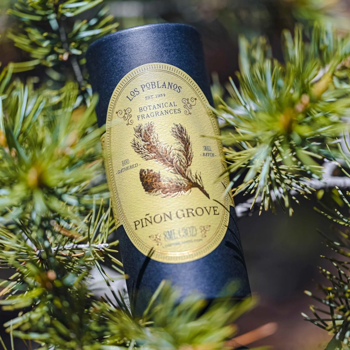 Piñon Grove Botanical Fragrance - Image 4